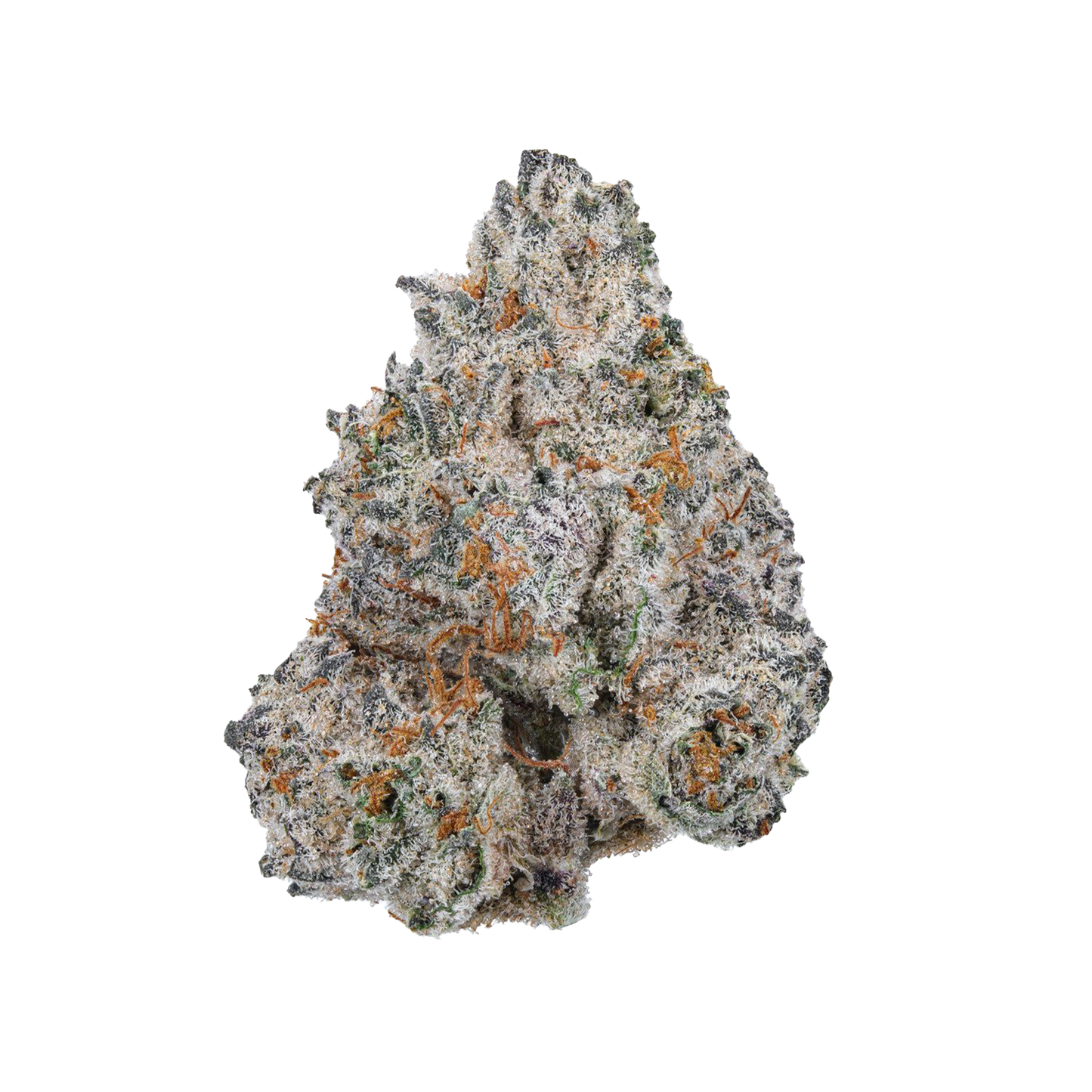 Zombie Dust