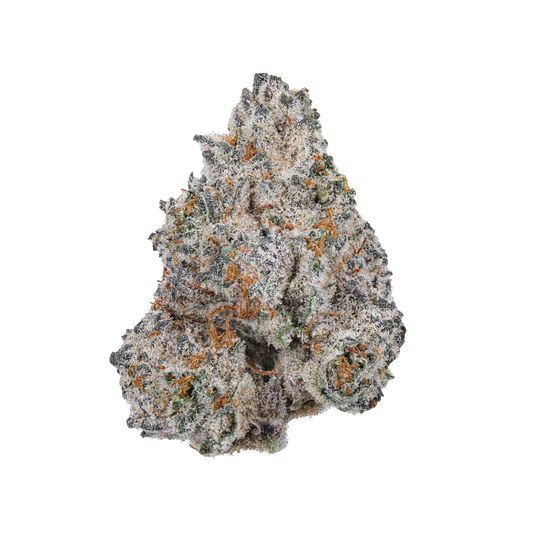 Zombie Dust